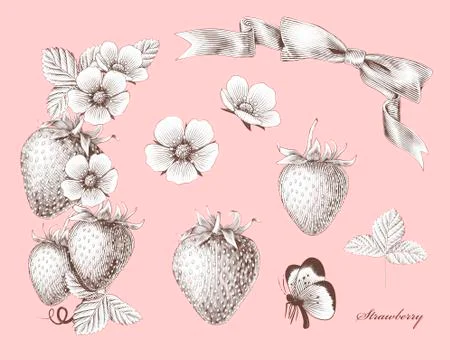 Engraved strawberry set Stock Illustration