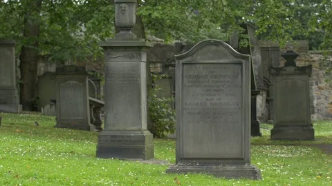 Engraved tombstone in green grass Stock Footage 87384086