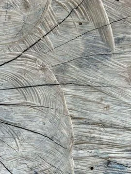 Engraved Wood Texture Stock Photos