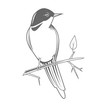 Engraving bird nightingale emblem vector Stock Illustration