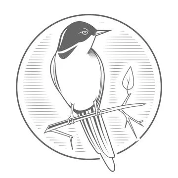 Engraving bird nightingale emblem vector Stock Illustration
