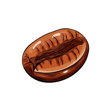 Engraving, coffee bean, vector illustration in color and line sketch Stock Illustration