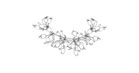 Engraving flower pattern Stock Illustration