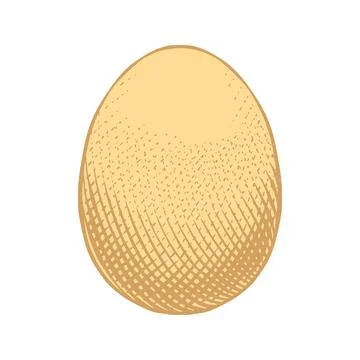 Engraving Illustration of Egg Stock Illustration
