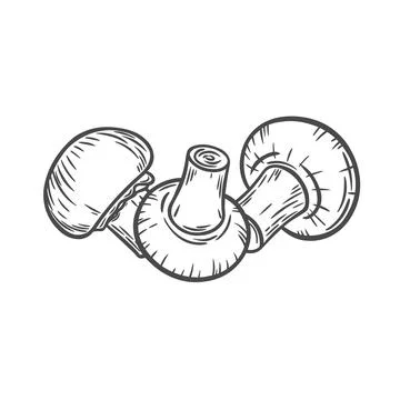 Engraving with the image of champignons Stock Illustration
