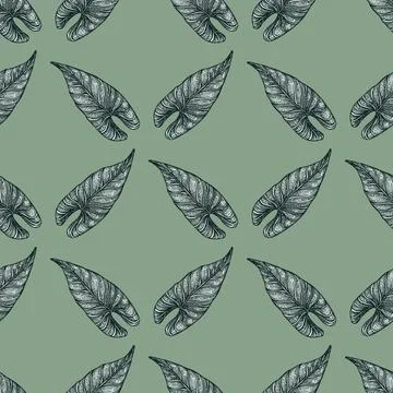 Engraving leaf araceae seamless pattern. Vintage leaves background. Stock Illustration