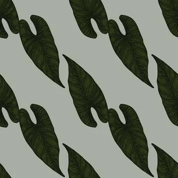 Engraving leaf araceae seamless pattern. Vintage leaves background. Stock Illustration