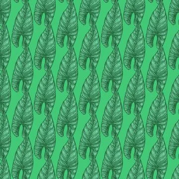 Engraving leaf araceae seamless pattern. Vintage leaves background. Stockillustratie