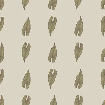 Engraving leaf araceae seamless pattern. Vintage leaves background. イラスト素材