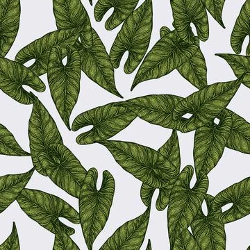 Engraving leaf araceae seamless pattern. Vintage leaves background. イラスト素材