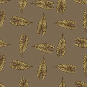 Engraving leaf araceae seamless pattern. Vintage leaves background. Stock Illustration
