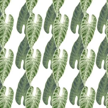 Engraving leaf araceae seamless pattern. Vintage leaves background. Stock Illustration