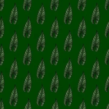 Engraving leaf araceae seamless pattern. Vintage leaves background. Stock Illustration