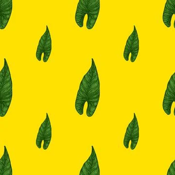 Engraving leaf araceae seamless pattern. Vintage leaves background. 库存插图