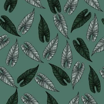 Engraving leaf araceae seamless pattern. Vintage leaves background. Stock Illustration