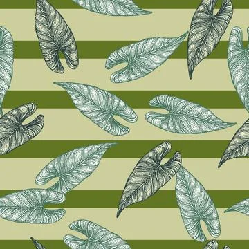 Engraving leaf araceae seamless pattern. Vintage leaves background. Stock Illustration
