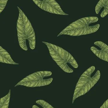 Engraving leaf araceae seamless pattern. Vintage leaves background. 스톡 일러스트
