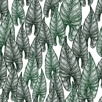 Engraving leaf araceae seamless pattern. Vintage leaves background. Stock Illustration