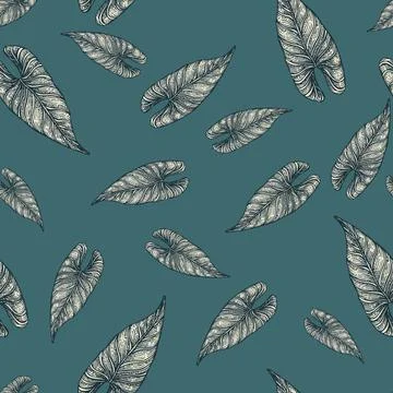 Engraving leaf araceae seamless pattern. Vintage leaves background. 库存插图