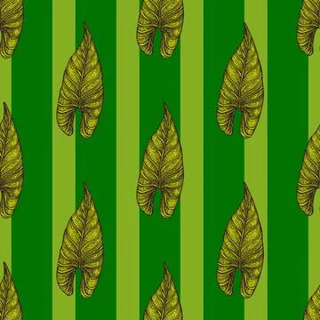 Engraving leaf araceae seamless pattern. Vintage leaves background. Stock Illustration