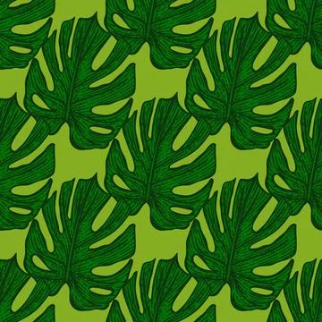 Engraving leaf monstera seamless pattern. Vintage leaves background. Stock Illustration