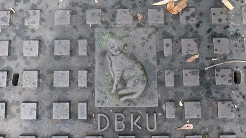 Engraving relief of Cat on sewer hatch or manhole, Kuching, Malaysia, Borneo Stock Footage 167012249