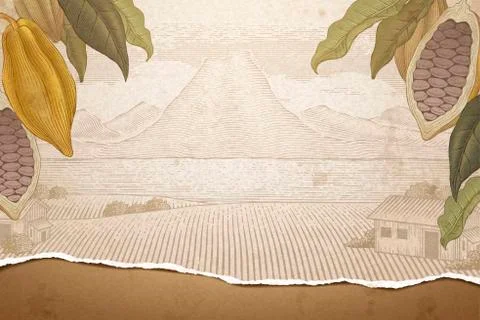 Engraving style cocoa tree 스톡 일러스트