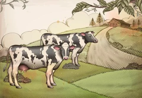 Engraving style farm background Stock Illustration