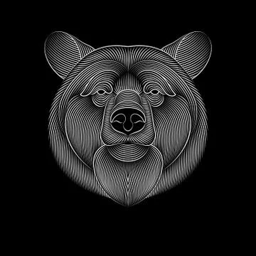 Engraving of stylized bear on black background Illustrazione stock