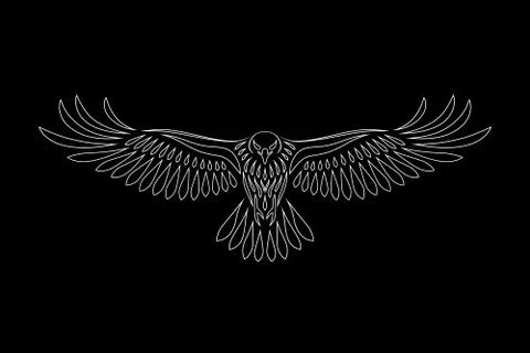 Engraving of stylized hawk on black background Illustrazione stock
