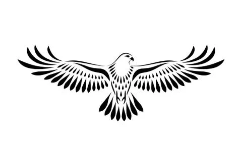 Engraving of stylized hawk on white background Illustrazione stock