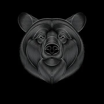 Engraving of stylized silver bear on black background Illustrazione stock