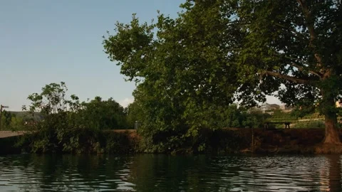 Enguera  Meadows Stock Footage 155445575