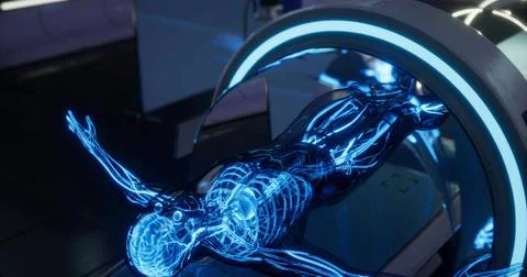 Enhanced blood vessel visualization in a digital human model 스톡 일러스트