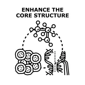 Enhancing core structure with cells, dna, and molecule connections Stock Illustration