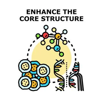 Enhancing core structure with cells, dna, and molecule connections Stock Illustration