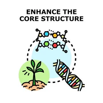 Enhancing core structure using biotechnology and genetic engineering Stock Illustration