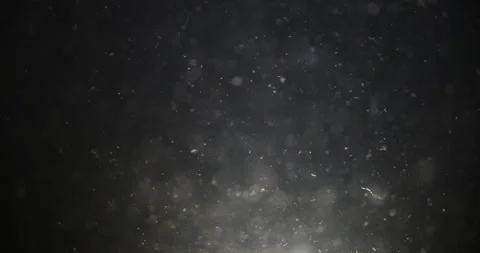 Enigmatic and Mysterious Floating Particles in the Dark Space Vídeo Stock 301546599