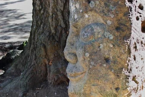 Enigmatic face 2 Stock Photos
