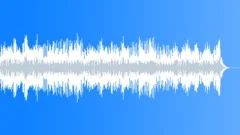 Enigmatic Mystery (WP) 06 Alt5 ( scary,slow,nervous,ambient,tension,anxious) Stock Music