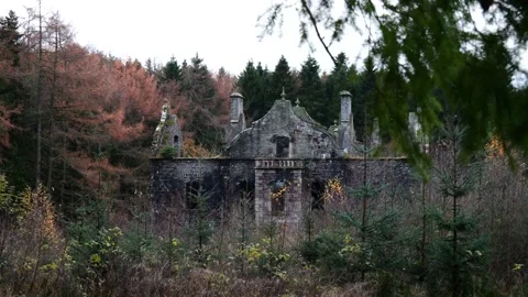 Enigmatic Ruins: Static View of Abandoned Carmichael House - 4K Stock Footage 255982479