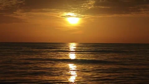 Enjoy the beach waves Stock Footage 316734832