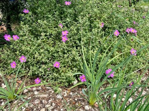 Enjoy beautiful nature Stock Photos