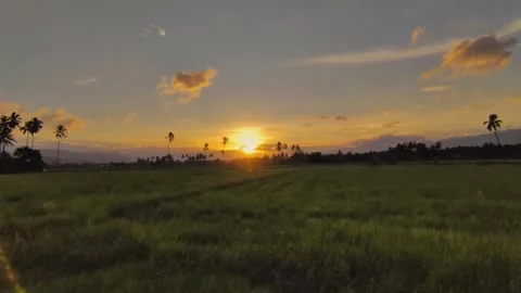 Enjoy the beauty of the sunset Stock Footage 316565124