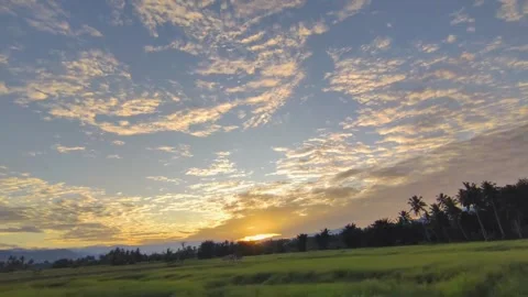 Enjoy the beauty of the sunset Stock Footage 316565148