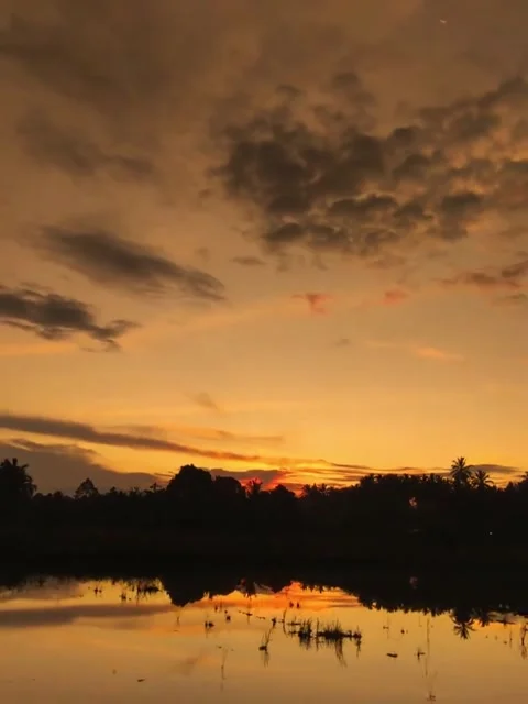 Enjoy the beauty of the sunset Stock Footage 316566178