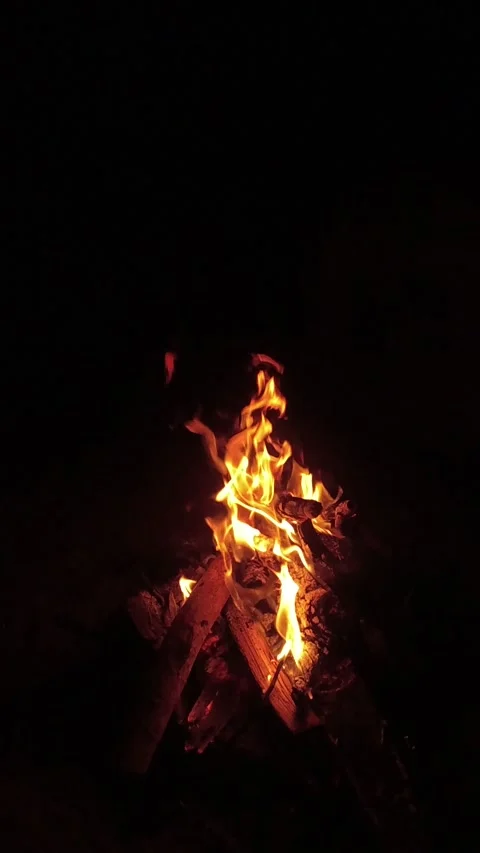 Enjoy a campfire Stock Footage 252873345