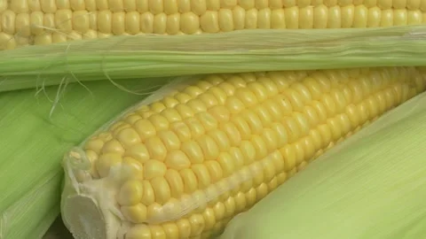 Enjoy Delicious Fresh Corn on the Cob, Complete with Husks for an Authentic Видео 282018941