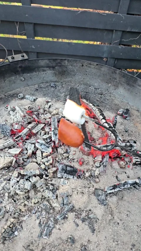 Enjoy a firepit slowmotion with vibrant coals and delicious grilled items for Stock Footage 304890621