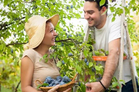 Enjoy in fruit picking Stock Photos